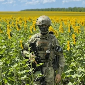 Помощь участникам СВО и их семьям